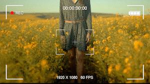 AtomX BASE Transitions and Motion Graphics v3 31018620 - 4000+無縫轉場文字標題動畫調色預設分屏效果視覺特效(VFX) 以及 音效等