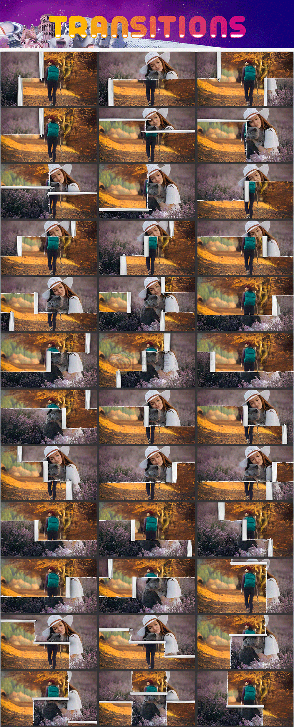 PR預設 | AtomX Collage Creator 40045374 - 2400組創意動物食物風景交通花朵植物嘴鼻眼睛手腳頭髮日常物品復古定格貼紙動畫