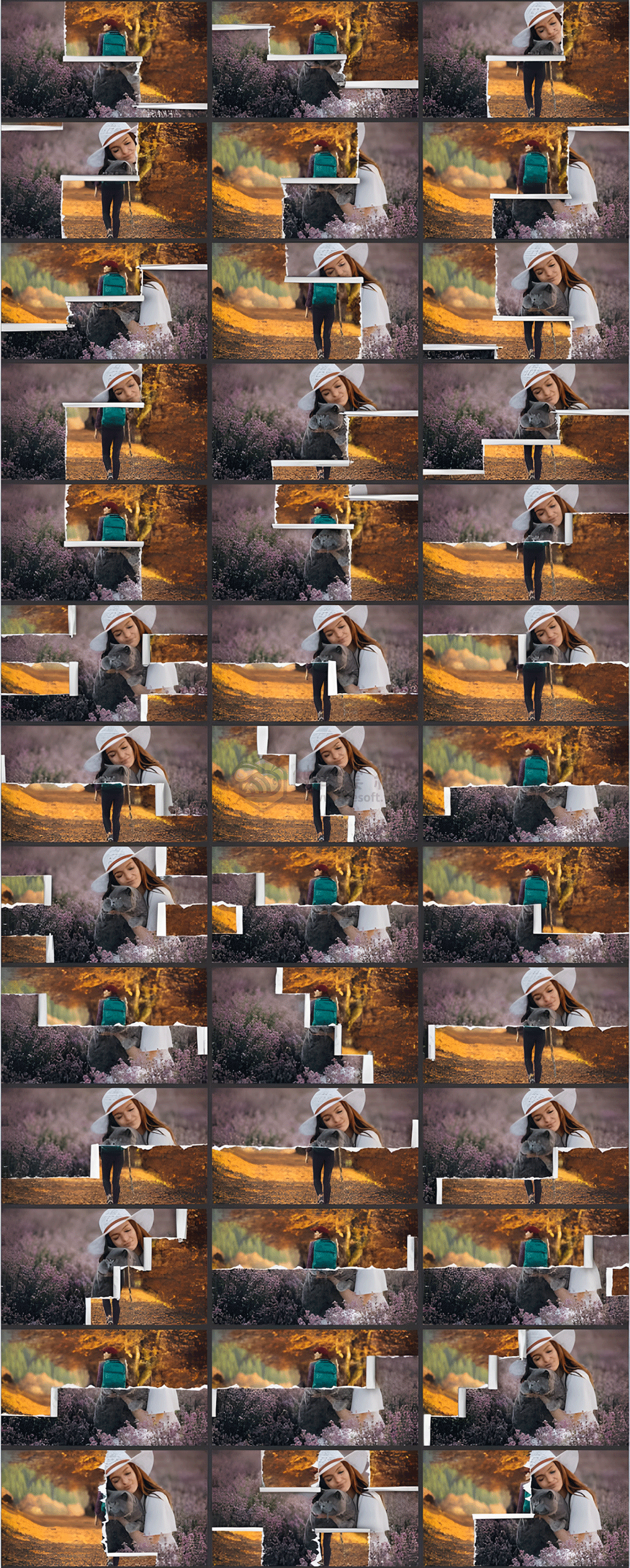 PR預設 | AtomX Collage Creator 40045374 - 2400組創意動物食物風景交通花朵植物嘴鼻眼睛手腳頭髮日常物品復古定格貼紙動畫