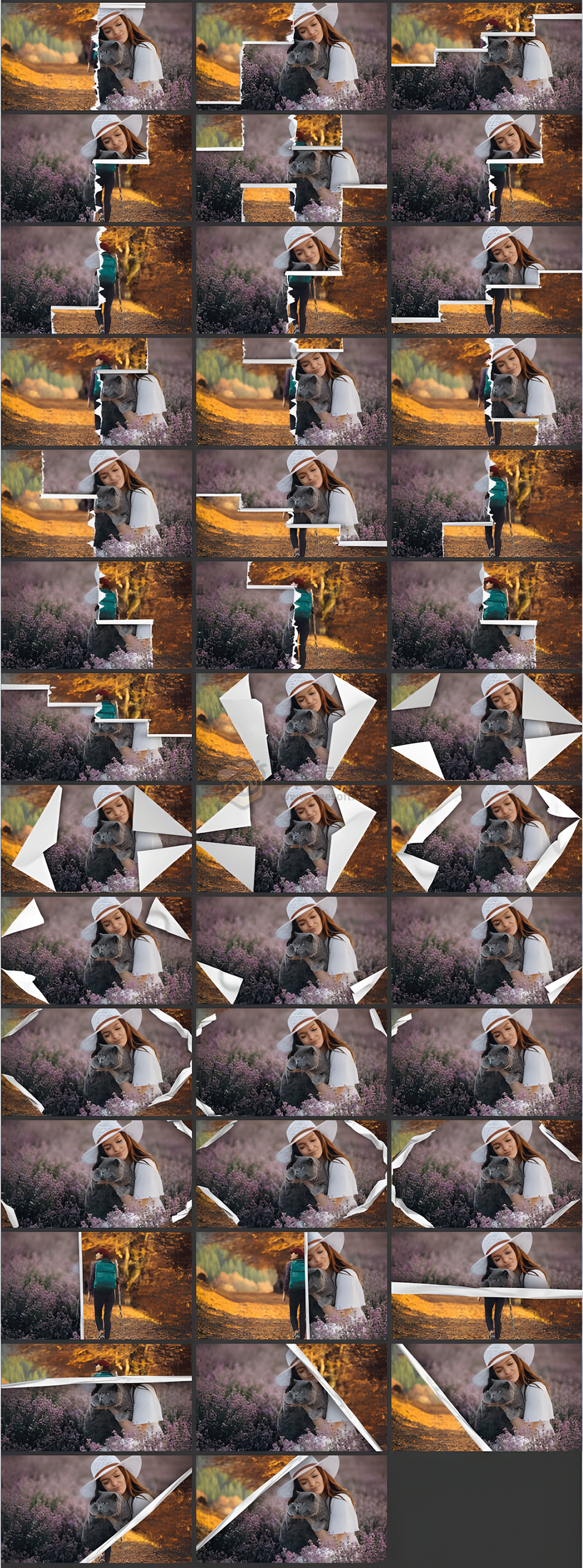 PR預設 | AtomX Collage Creator 40045374 - 2400組創意動物食物風景交通花朵植物嘴鼻眼睛手腳頭髮日常物品復古定格貼紙動畫