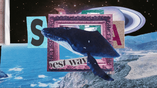 PR預設 | AtomX Collage Creator 40045374 - 2400組創意動物食物風景交通花朵植物嘴鼻眼睛手腳頭髮日常物品復古定格貼紙動畫